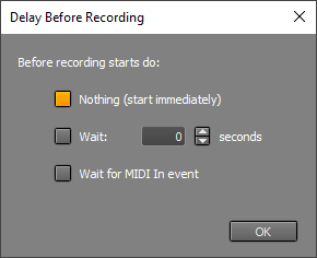Delay Before Recording window